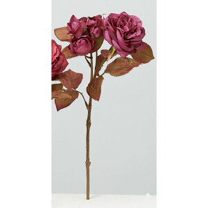 yԁzAXJ/[Y×2 ڂ×3 #026 tbV/A-34659-26y01z ԁiA[eBtBVt[j  ԍށu͍sv o