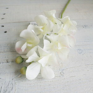 yԁzAXJ/ft@×7 ڂ×2 #001 zCg/A-34675-1y01z ԁiA[eBtBVt[j  ԍށusv ijEI[Lbh