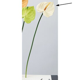 【造花】アスカ/アンスリウム #091 アイボリー/A-34671-91【01】【取寄】 造花（アーティフィシャルフラワー） 造花 花材「あ行」 アンスリューム