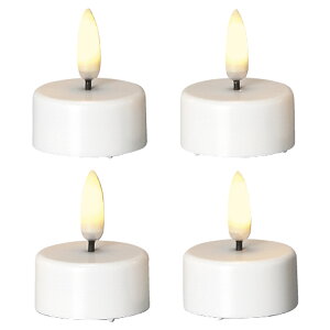 �A�X�J/PATRIA(�p�g���A)LED�L�����h���e�B�[���C�g(4��) #001 �z���C�g/A-16977-1�y01�z LED�L�����h�� �x�[�V�b�N