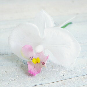 yԁzAXJ/aR`EsbN(S) #001P zCgsN/A-73413-1Py01z ԁiA[eBtBVt[j  ԍށusv R`EiӒj