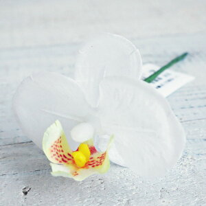 yԁzAXJ/aR`EsbN(S) #001Y zCgCG[/A-73413-1Yy01z ԁiA[eBtBVt[j  ԍށusv R`EiӒj