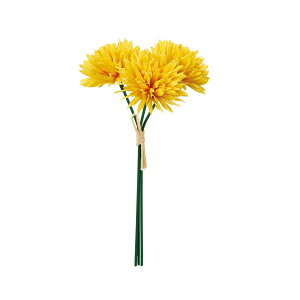 yԁzAXJ/a||}o`(13{) #010 CG[/A-73416-10y01z ԁiA[eBtBVt[j  ԍށusv LNiejEs|}