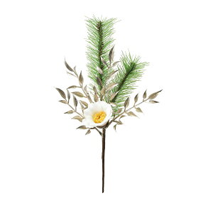 yԁzAXJ/AWsbN() #001 zCg/A-75200-1y01z ԁiA[eBtBVt[j  ԍށusv coLiցj