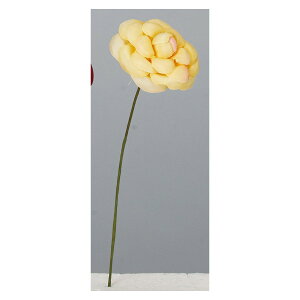 yԁzAXJ/JAsbN(16{) #020 \tgCG[/A-73419-20y01z ԁiA[eBtBVt[j  ԍށusv coLiցj