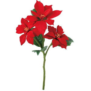 yԁzYDM/xxbg|CZ`AXv[ bh/FS-6156Ry01z ԁiA[eBtBVt[j  ԍށu͍sv |CZ`A