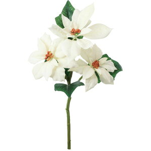 yԁzYDM/xxbg|CZ`AXv[ N[/FS-6156CRy01z ԁiA[eBtBVt[j  ԍށu͍sv |CZ`A