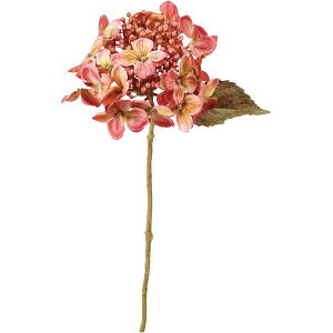 yԁzYDM/hCbNnChWA _[NsN/FA-7429D/Py01z ԁiA[eBtBVt[j  ԍށusv izԁj