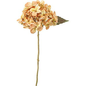 yԁzYDM/hCbNnChWA x[W/FA-7429BEy01z ԁiA[eBtBVt[j  ԍށusv izԁj