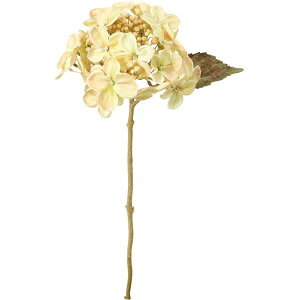 yԁzYDM/hCbNnChWA N[/FA-7429CRy01z ԁiA[eBtBVt[j  ԍށusv izԁj