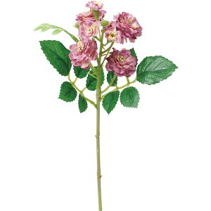 yԁzYDM/~j||[YsbN p[v/FA-7424PUy01z ԁiA[eBtBVt[j  ԍށu͍sv o