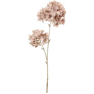 yԁzYDM/J[hnChWA [u/FA-7426MAVy01z ԁiA[eBtBVt[j  ԍށusv izԁj