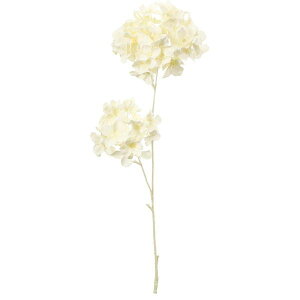 yԁzYDM/J[hnChWA zCg/FA-7426Wy01z ԁiA[eBtBVt[j  ԍށusv izԁj