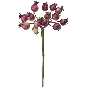 yԁzYDM/W[V[x[sbN N[p[v/FG-5290CPUy01z ԁiA[eBtBVt[j ԎAtFCNt[c x[