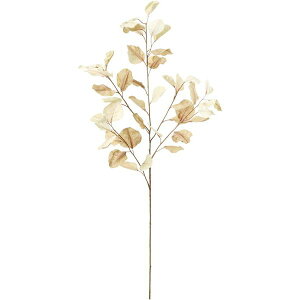 yԁzYDM/nNT{N x[W/FG-5275BEy01z ԁiA[eBtBVt[j Ԏ} ̑̑Ԏ}