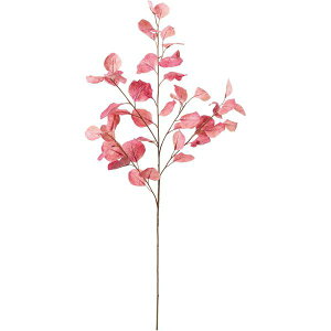 yԁzYDM/nNT{N bh/FG-5275Ry01z ԁiA[eBtBVt[j Ԏ} ̑̑Ԏ}