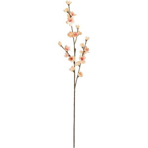 yԁzYDM/ubV~u` N[/FS-5426CRy01z ԁiA[eBtBVt[j  ԍށusv Ei~j