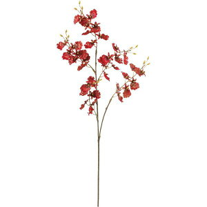 yԁzYDM/ubVIVW[ _[Nbh/FS-5432D/Ry01z ԁiA[eBtBVt[j  ԍށusv IVW[