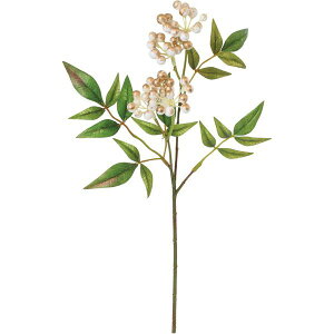 yԁzYDM/ubVVXv[ zCg/FS-5433Wy01z ԁiA[eBtBVt[j ԎAtFCNt[c ie