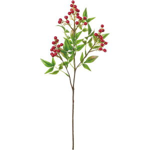 yԁzYDM/VXv[ bh/FS-5418Ry01z ԁiA[eBtBVt[j ԎAtFCNt[c ie