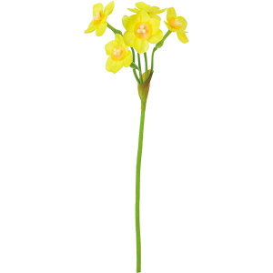 yԁzYDM/V[g CG[/FS-5421Yy01z ԁiA[eBtBVt[j  ԍށusv XCZij