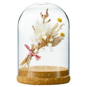 LEO^JIJ/BD|1301 RNh|M/BD-1301y01z ԊA[X ԊEԕr h[AKXh[