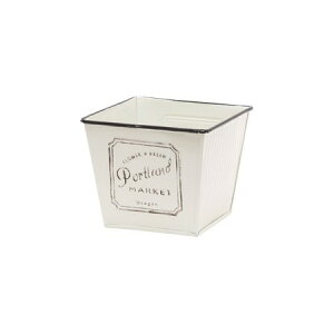 NatureDesigns/|[gh XNGA N[×ubN/45156y01z[6] ԊA[X ԊEԕr uLEACA