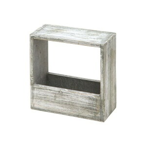 NatureDesigns/LrEXNGA [G/45129y01z[2] ԊA[X ԊEԕr ؐԊ