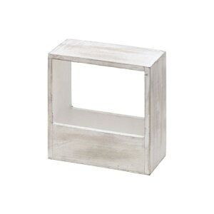 NatureDesigns/LrEXNGA zCg/45162y01z ԊA[X ԊEԕr ؐԊ