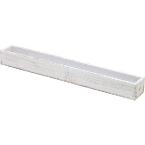 NatureDesigns/og40 45624 zCg/45624y01z[2] ԊA[X ԊEԕr ؐԊ