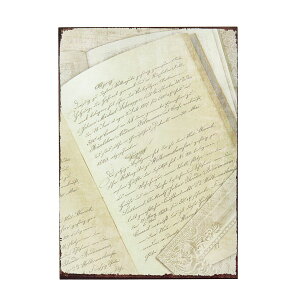 AeB[Nt[L m/ZE008303y01z ԊA[X ԊEԕr t[t[