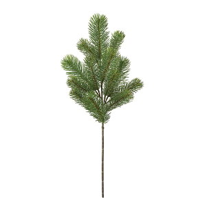 yԁz/tbVO[pCM O[ GREEN/XV005745y01z ԁiA[eBtBVt[j ԎAtFCNt[c }cJTEpC