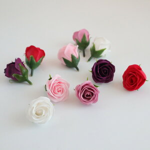 y\[vt[zyzHillTop/[Y J[A\[g 10 sNny10z vU[uht[ tOX\[vt[ \[vt[ԍ