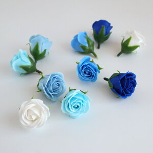 y\[vt[zyzHillTop/[Y J[A\[g 10 u[ny10z vU[uht[ tOX\[vt[ \[vt[ԍ