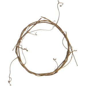 SG Wonder zone/Vvi`oC[X18/607-126y07z[10] ԊA[X [Xy(x[X) (VRf)[X