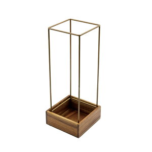 Paseo/XNGAt[X^h M/WA-18My01z ԊA[X t[X^h ԑEԕr