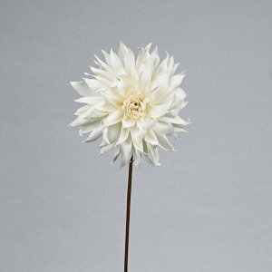 �y�n���h���C�h�t�����[�z�\���t�����[�X�e���^�C�v 16 DAHLIA A NC/Z-0281�y07�z �h���C�t�����[ �\���t�����[ �\���_���A�\�[���[�t�����[ �ԍ� �n���h���C�h�ޗ� �N���t�g�f�� �� ������ �u��