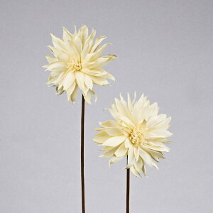 �y�n���h���C�h�t�����[�z�\���t�����[�X�e���^�C�v 12 DAHLIA A 2�{ #6/Z-0284�y07�z �h���C�t�����[ �\���t�����[ �\���_���A�\�[���[�t�����[ �ԍ� �n���h���C�h�ޗ� �N���t�g�f�� �� ������ 
