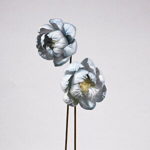 �y�n���h���C�h�t�����[�z�\���t�����[�X�e���^�C�v 12 PEONY B 2�{ #5/Z-0310�y07�z �h���C�t�����[ �\���t�����[ ���̑��\���t�����[�\�[���[�t�����[ �ԍ� �n���h���C�h�ޗ� �N���t�g�f�� �� 