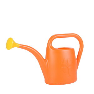 DoLABO/PROSP KONIEH[^OJ1D8L IW/43156y07z[4] K[fjOE|pi c[() 傤E