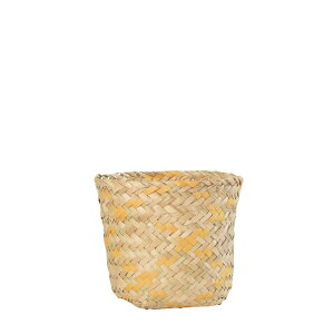 Jo[  DoLABO/LOCA oXPbg12 CG[/43285y07z[6] K[fjOE|pi t[|bg Jo[