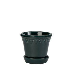 �A�ؔ� ������� DoLABO/BP �R�y���n�[�Q��16 �u���[GL/42871�y07�z[2��] �K�[�f�j���O�E���|�p�i �t�����[�|�b�g �e���R�b�^(�f�Ă�)