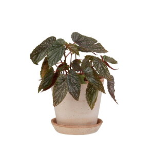 Aؔ  DoLABO/BPwi18 i`/42875y07z[4] K[fjOE|pi t[|bg eRb^(fĂ)