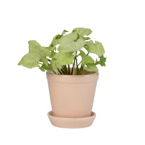 Aؔ  DoLABO/BPwi14 sNGL/42878y07z[2] K[fjOE|pi t[|bg eRb^(fĂ)