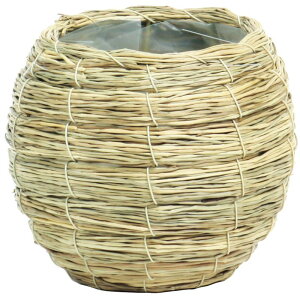 Jo[  SG Wonder zone/V[OXe}L/364-005Ay07z K[fjOE|pi t[|bg Jo[