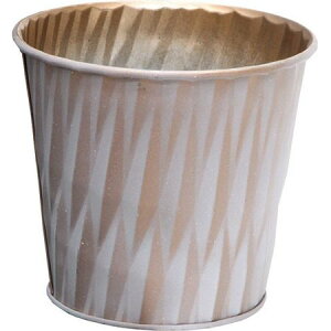 Aؔ  NatureDesigns/NXE 45638 [T/45638y01z[6] K[fjOE|pi t[|bg ACAEuL