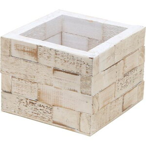 NatureDesigns/ubNEXNGA zCg/45645y01z[4] ԊA[X ԊEԕr ؐԊ