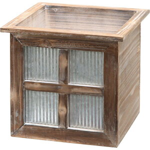 NatureDesigns/bWEXNGA 45671 i`/45671y01z ԊA[X ԊEԕr ؐԊ