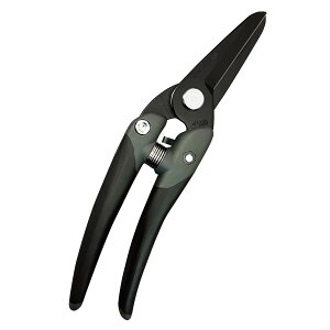 ߐ/t[Xg  ubN/JP-2000FBKy01z ԎށEt[Xg (͂)E