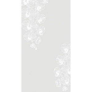 `LEO[eBOX/DJ[h JP|75 20/JP-75y01z bsOpi A bZ[WJ[h O[eBOJ[h